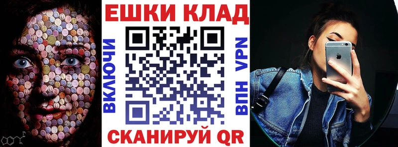 Купить закладки Бологое Ecstasy Philipp Plein