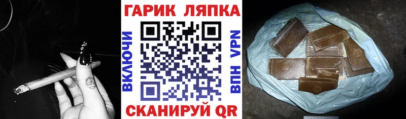 ГАШ Premium Купить Бологое