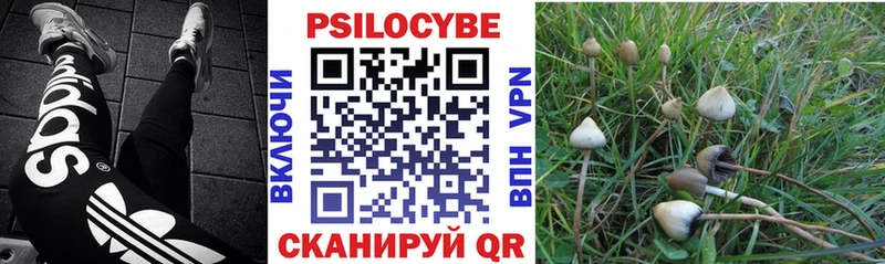 Галлюциногенные грибы Magic Shrooms  Купить где  Бологое 